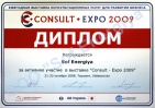 Диплом за активное участие в выставке  "Consult - Expo 2009"